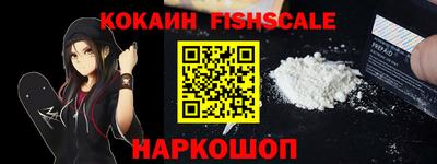 гидра Заводоуковск
