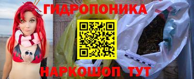 гидра Заводоуковск