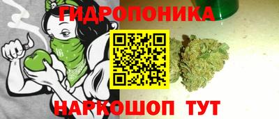 крисы Заволжье