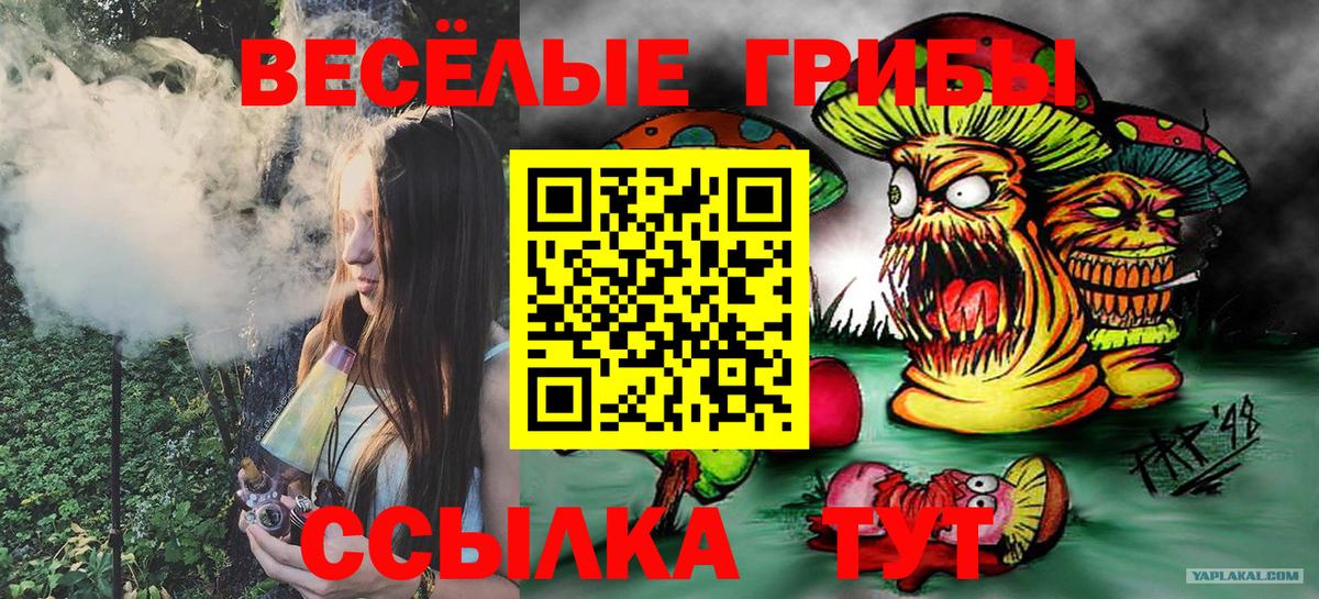 Галлюциногенные грибы мицелий  Вход с VPN  Малгобек 